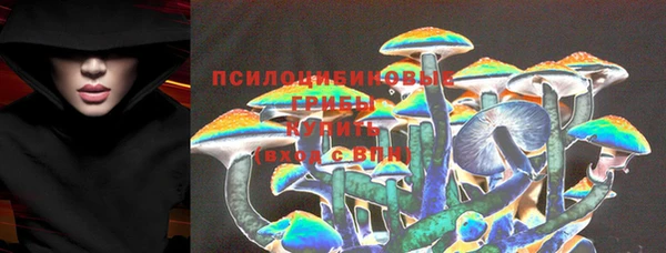 2c-b Кукмор