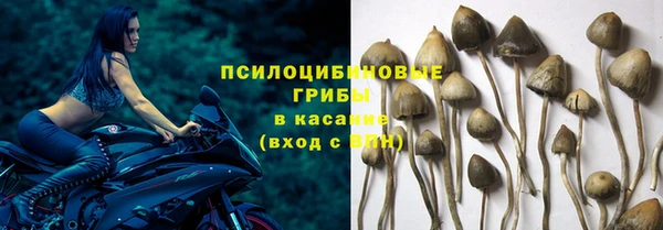 2c-b Кукмор